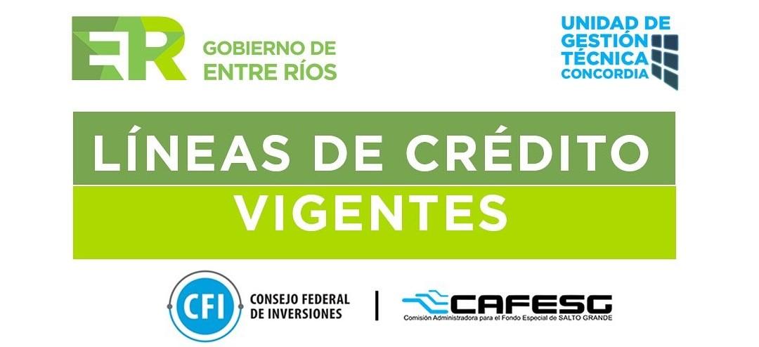 Acceso a líneas de financiamiento del CFI a través de CAFESG