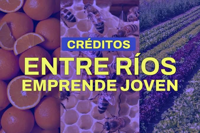 Entre Ríos Emprende Joven: apertura de la convocatoria