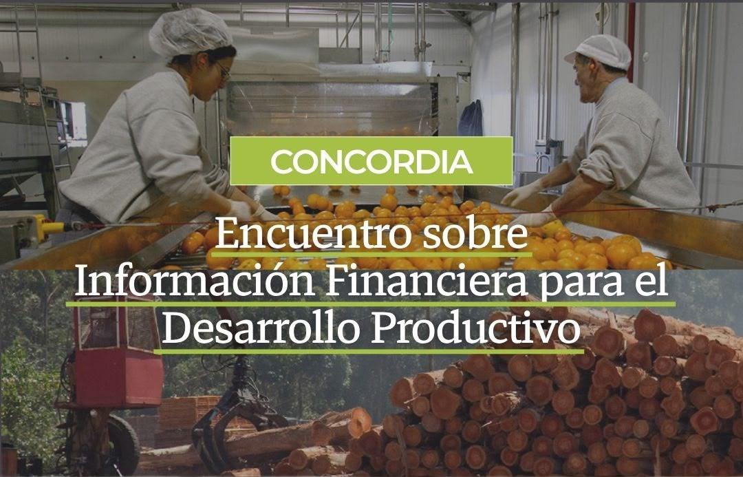 Jornada sobre Información Financiera para el Desarrollo Productivo 